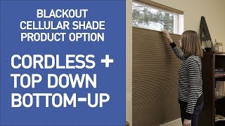 Cellular Shades w Cordless Top Down Bottom Up Lift Demo [upl. by Markson325]