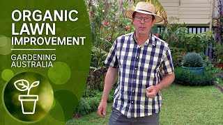 Organic tips to control weeds and improve your lawn [upl. by Ehudd763]