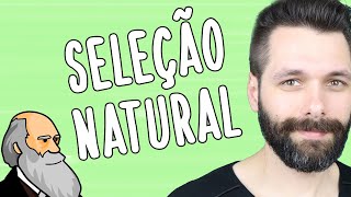 TIPOS DE SELEÇÃO NATURAL  Evolução  Biologia com Samuel Cunha [upl. by Eelyak]