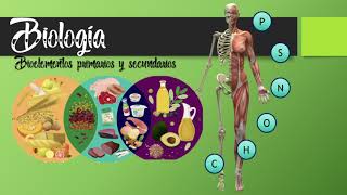 4 Biología  Bioelementos primarios secundarios y oligoelementos en el ser vivo [upl. by Revlis]