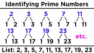 Lets Explore The Facts Of Four  Division Facts Of 4  Song With Lyrics [upl. by Abernathy]