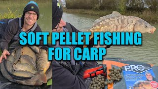 Soft Pellet Fishing For Carp  What are the new Des Shipp Pole Rigs like [upl. by Sivatnod]