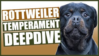 Everything You Need To Know  ROTTWEILER TEMPERAMENT [upl. by Alat]