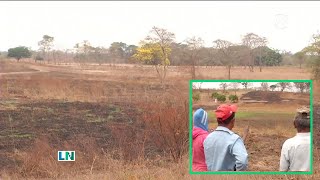 Pedro Carbo Agricultores al borde de la desesperación por sequía [upl. by Culley570]