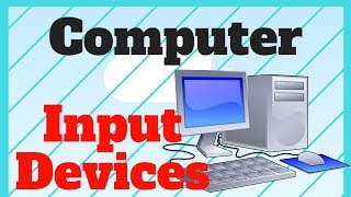 Computer Input Devices  with Examples [upl. by Sellihca529]