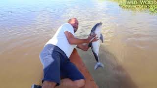 Catching A Baby Dolphin [upl. by Glynn]