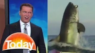 Aussie TV hosts hilarious reaction to shark footage [upl. by Aeila]