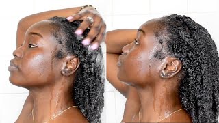 How to Wash 4c Hair Properly after braids [upl. by Reggi]