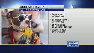 Scott County Humane Society  Woofstock [upl. by Atalayah]