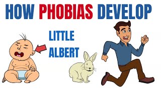 How phobias develop  What Little Albert taught us [upl. by Loesceke]