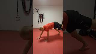 Balancier du scorpion animalflow ninja workout [upl. by Okiruy]