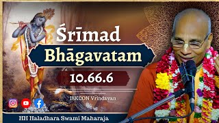 Srimad Bhagavatam 10666  261024  ISKCON Vrindavan [upl. by Neff]