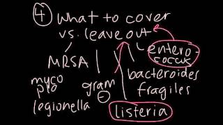 Amoxicillin Antibiotic Action and Appropriate Uses [upl. by Sumetra]