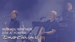 David Gilmour  Wish You Were Here Live At Pompeii [upl. by Chesney]