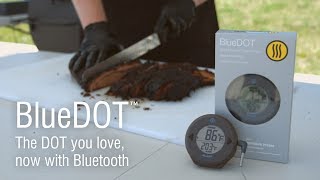 Introducing BlueDOT by ThermoWorks [upl. by Georgine]