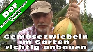 Gemüsezwiebeln im Garten richtig anbauen [upl. by Cohla834]