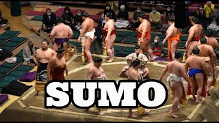 Understanding Sumo [upl. by Sitoiyanap]