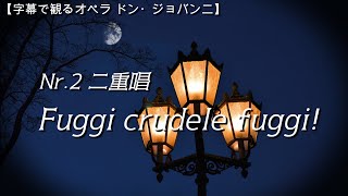 ドン・ジョバンニ 二番 Fuggi crudele fuggi【字幕で観るオペラ】 [upl. by Ecidnarb]