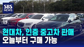 현대차 오늘부터 인증 중고차 판매…온라인서 구매 가능  SBS [upl. by Falito469]