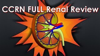 CCRN Renal Review  FULL [upl. by Ulrike531]