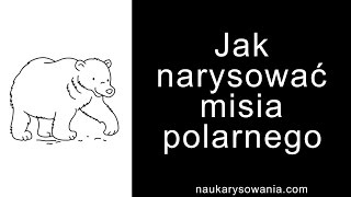 Jak narysować misia polarnego  Rysowanie misia polarnego krok po kroku [upl. by Ewnihc612]