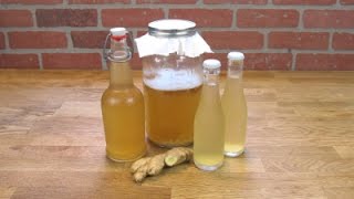 Water Kefir Ginger Tonic [upl. by Doowle]