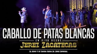 Caballo De Patas Blancas En Vivo  El Nono Y Su Banda Reina De Jerez [upl. by Benoite]