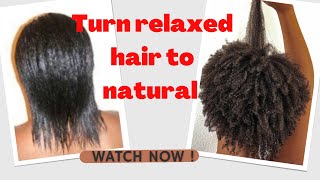 How to change relaxed hair to natural hair big chop and transitioning fast and easy [upl. by Atteloc210]