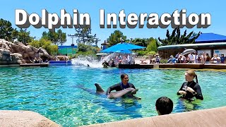 Dolphin Days at SeaWorld San Diego 10515 [upl. by Aticnemrac]