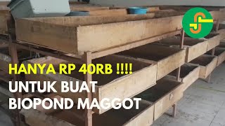 BIOPOND MAGGOT BSF MURAH [upl. by Leunamesoj]