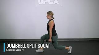 Dumbbell Split Squat [upl. by Nylidnam127]