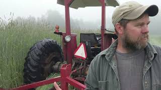 S5E1 Rolling Rye Grass Prep for Pumpkin Planting [upl. by Neelik276]