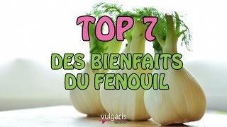 TOP 7 des bienfaits du FENOUIL [upl. by Edva184]