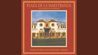 Plaza de la Maestranza [upl. by Nepets]