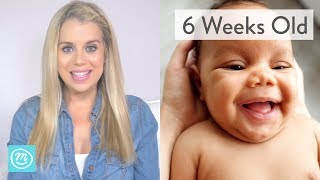 6 Weeks Old What to Expect  Channel Mum [upl. by Weatherby897]