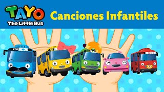 Tayo Canciones Infantiles 12 Familia dedo [upl. by Esereht]