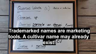 Scientific names how to write amp pronounce  Tree ID [upl. by Aenert]