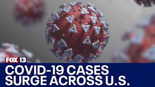 COVID19 infections surging across the country  FOX 13 Seattle [upl. by Odragde]