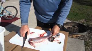 How To Clean And Filet A Trout [upl. by Christianna]