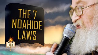 The Truth About the 7 Noahide Laws [upl. by Yanahs385]