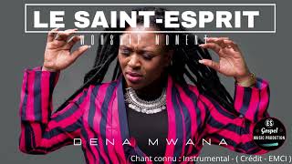 Le Saint Esprit Instrumental Worship  DENA MWANA [upl. by Tegirb]