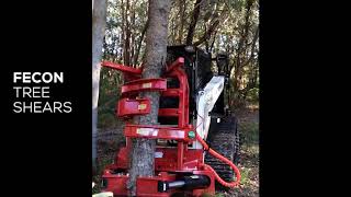 Fecon Tree Shears for Excavators Skid Steers Positracks Bobcats  Fecon Australia [upl. by Osswald]