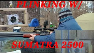 Plinking w Sumatra 2500 22 cal amp Megaorei 2 [upl. by Munmro]