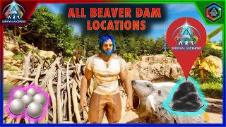 All Beaver Dam Locations in Ark Survival Ascended The Island Map [upl. by Reifel912]