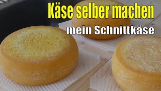 Käse selber machen  Mein Schnittkäse [upl. by Ethyl474]