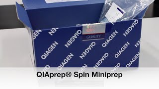 Protocol 8 Miniprep QIAprep Spin Kit [upl. by Arak690]