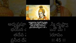 Bhagavad gita Chapter 11 shloka 45amp46 bagavadgita bhagavadgitatelugu india shorts youtubeshorts [upl. by Niamrahc]