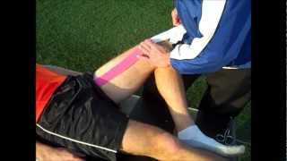 Adductor Kinesiology Taping [upl. by Refinnaj842]