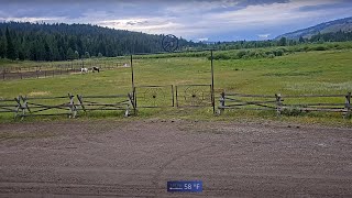 Turpin Meadow Ranch  Near Grand Teton Park [upl. by Monaco]