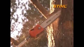 Stihl Pole Saw HT 101 [upl. by Dazhehs379]